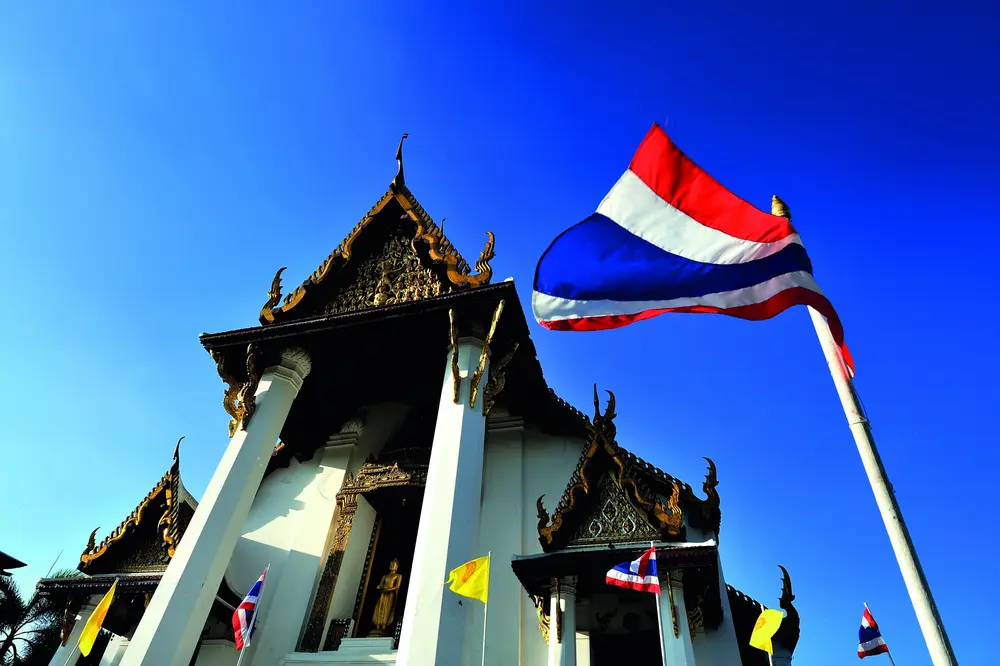ทาสีบ้านเอง 2026: เลือกสี คำนวณปริมาณ และขั้นตอนทาให้เนียน