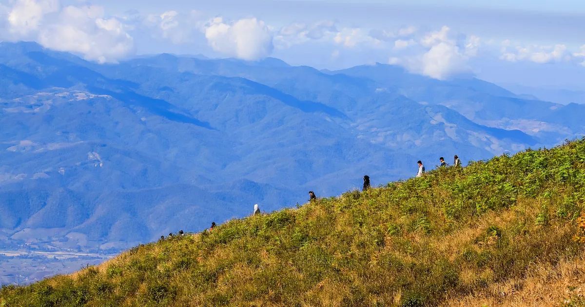 10 ที่เที่ยวหน้าหนาวในไทย ชมทะเลหมอก ทุ่งดอกไม้ สวยสุดปี 2569