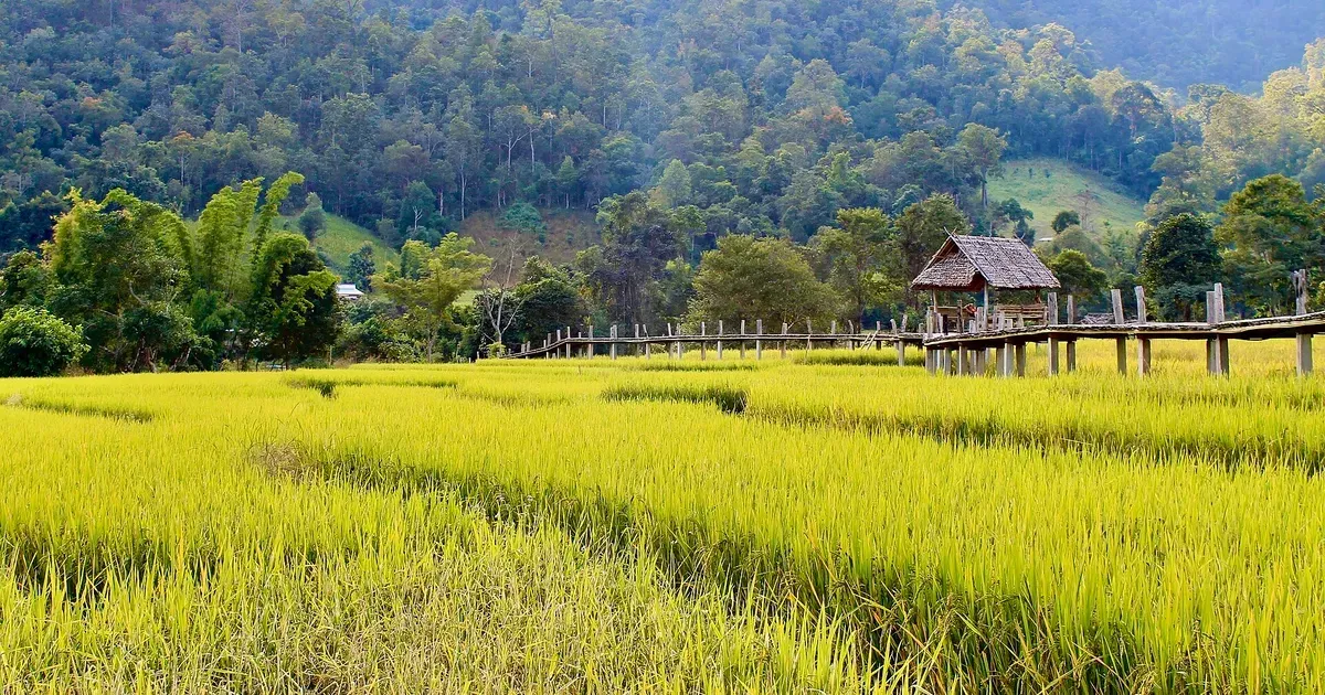 Grey Thailand คว้า Green Pencil แห่งแรกของไทยจาก The One Show 2026 ด้วยแคมเปญ Fertilizer 2.5