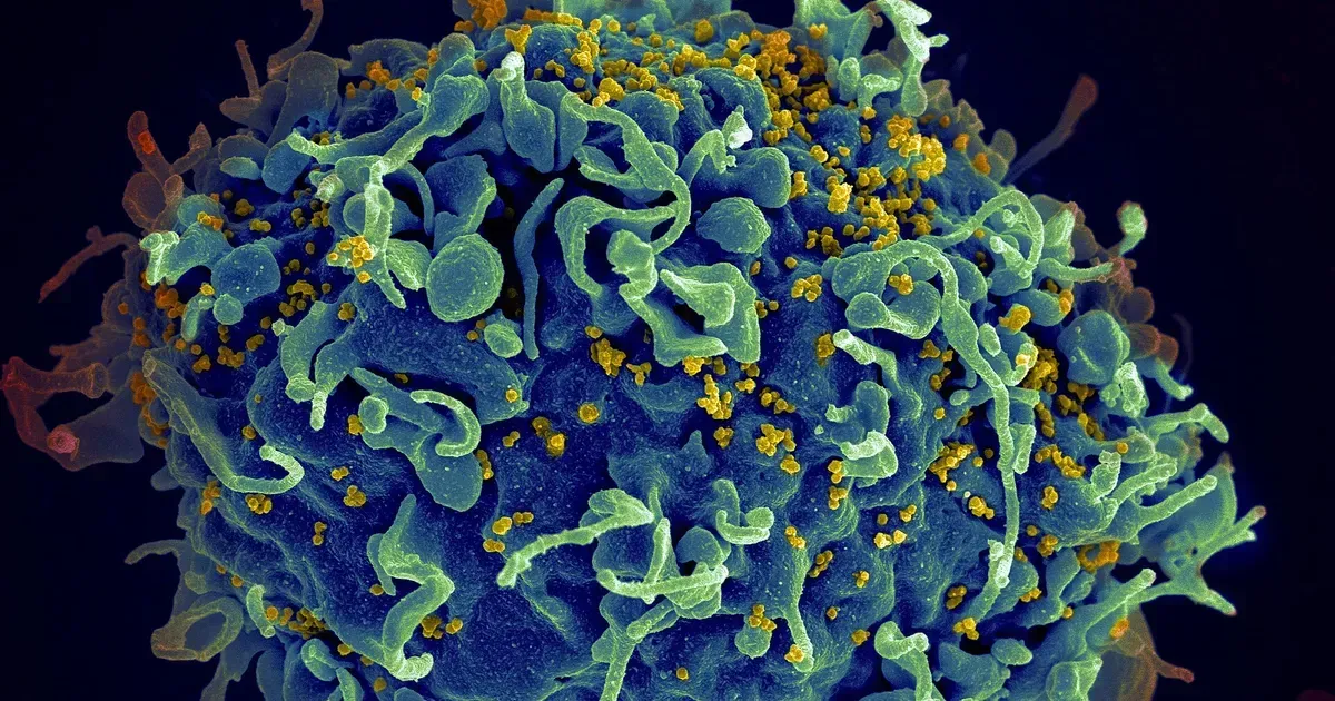 ฉีดปีละ 2 ครั้ง ป้องกัน HIV ได้เกือบ 100% — 'เลนาคาพาเวียร์' เริ่มกระจายสู่หลายประเทศปี 2026 รวมถึงไทย