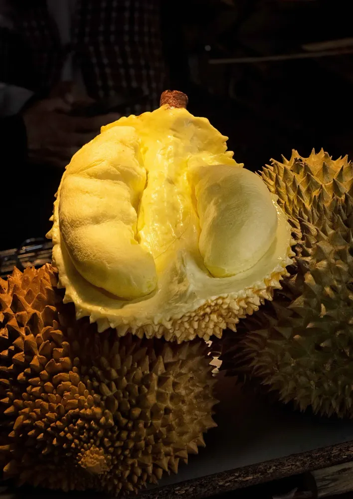 ผลทุเรียนสดบนแผงผลไม้ไทย ราชาแห่งผลไม้ที่เป็นสินค้าส่งออกสำคัญ